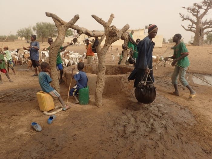 Un puits communautaire dans un village maliens. Des hommes et des enfants entourent le puits en terre séchée. En arrière plan un troupeau de chèvres