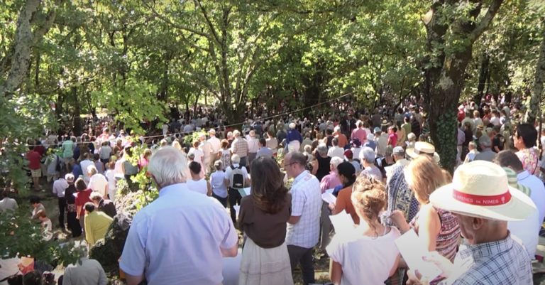 L’Assemblée du Désert en 2013. Une foule est rassemblée sous les arbres