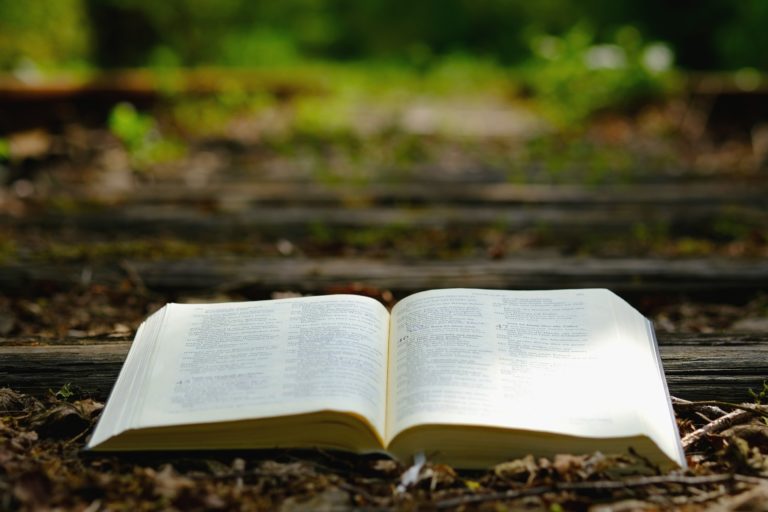 Une Bible ouverte et posée sur le sol dans la nature