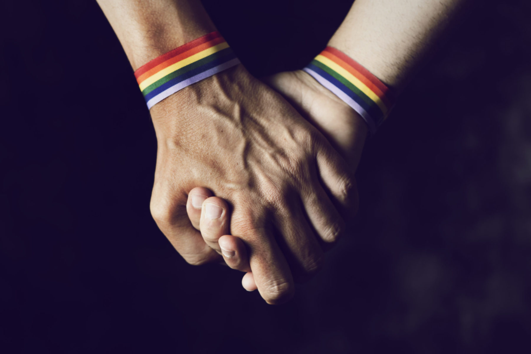 Suisse: Le référundum contre le « mariage pour tous » reçoit l’appui de