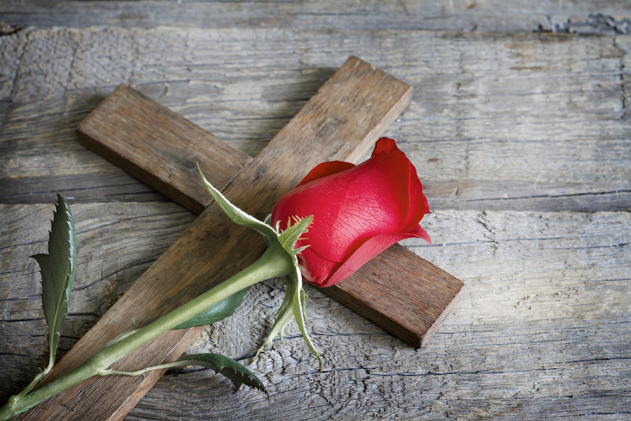 Une rose rouge posée sur une croix en bois plate