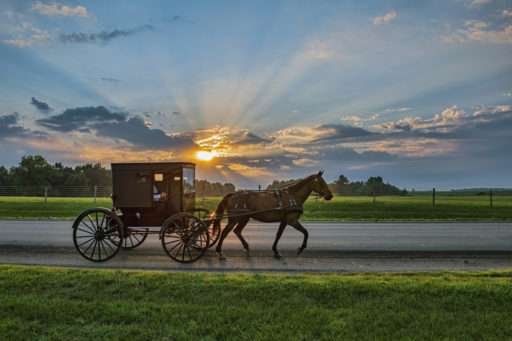 Une calèche tirée par un cheval avance sur fond d'un coucher de soleil. paysage de campagne.