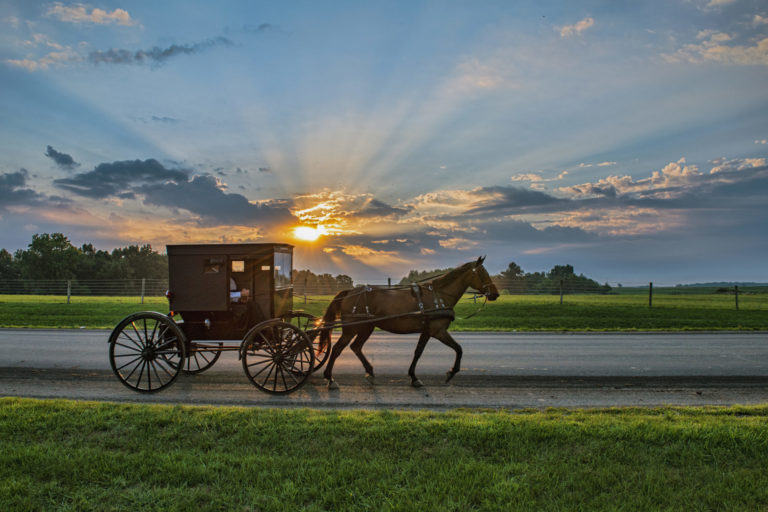 Une calèche tirée par un cheval avance sur fond d'un coucher de soleil. paysage de campagne.