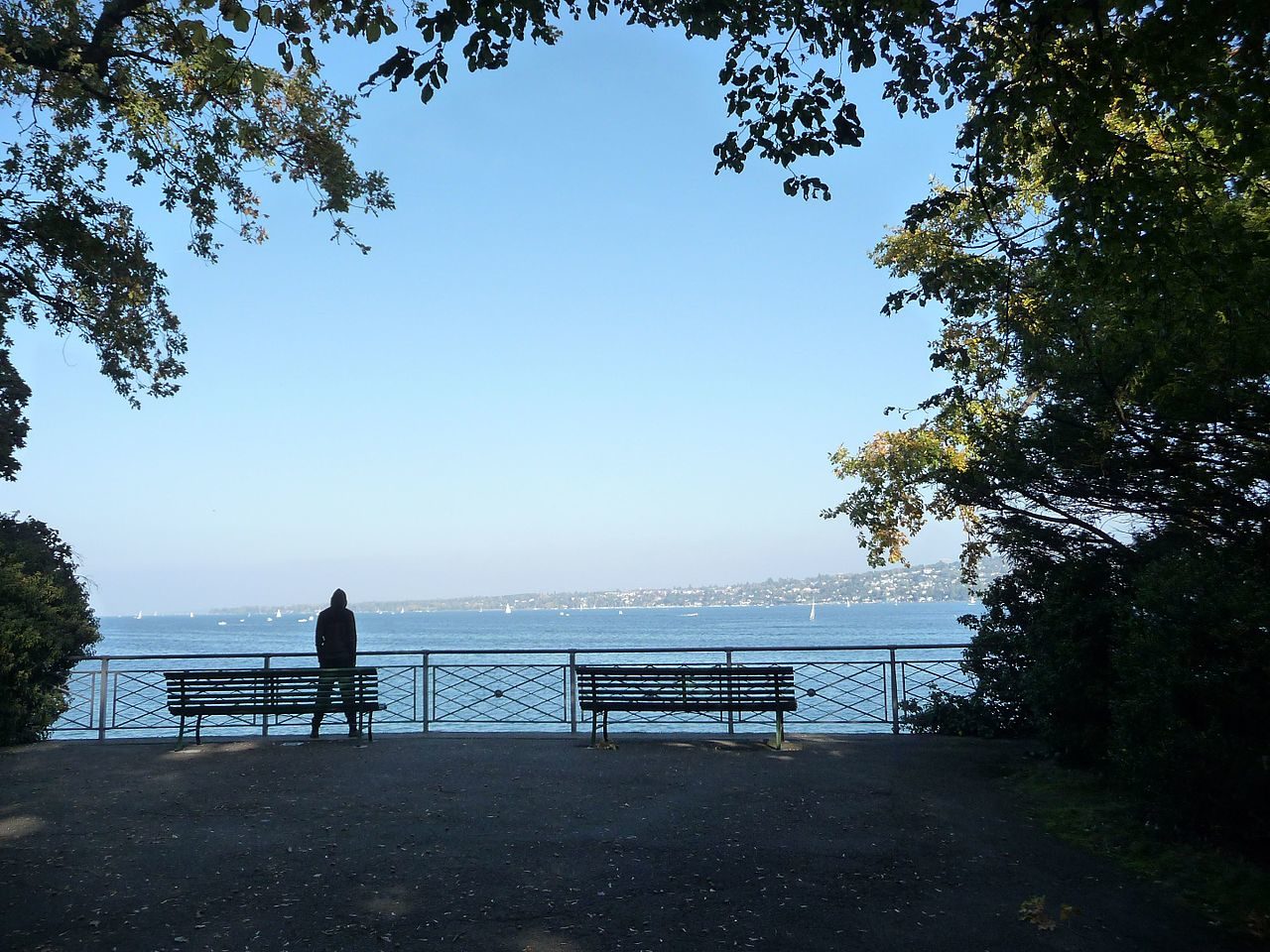 On voit, de loin, un homme qui regarde le lac de Genève. Près de lui, deux bancs. Des feuillages encadrent l'image.