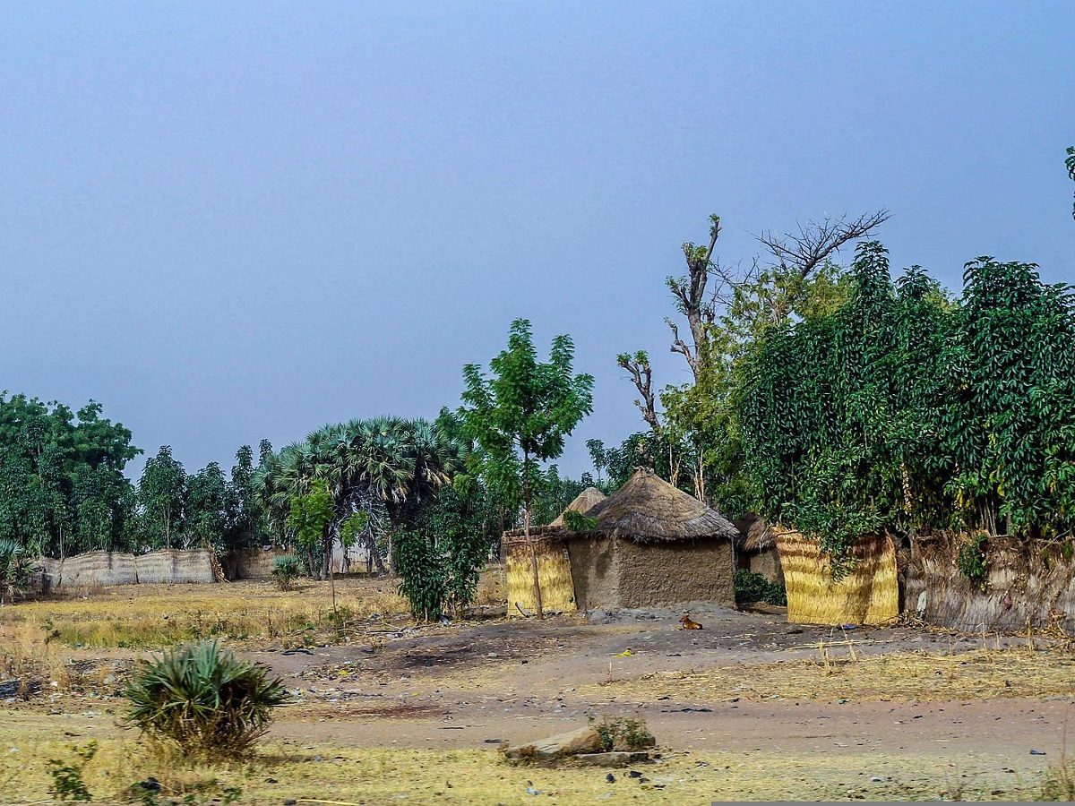 un village du Nigéria entouré d'arbres
