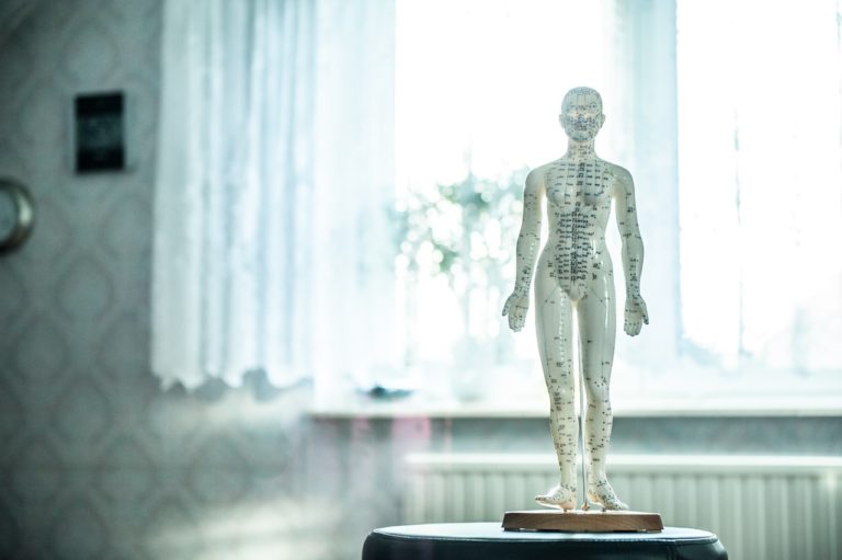 photo d'un petit mannequin en plastique illustrant les points de pression sur le corps pris en compte dans certaines médecines parallèles.