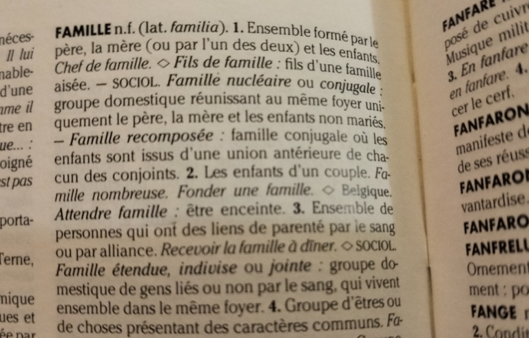 Un dictionnaire ouvert sur la définition du mot famille