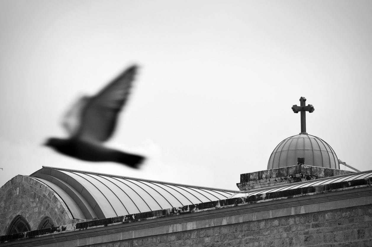 Un pigeon vole au-dessus du toit d'une église