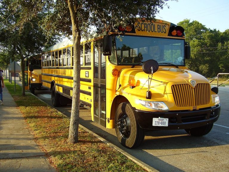 Un bus scolaire jaune est stationné le long d'une route