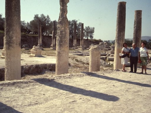 Photo avec des colonnes antiques du site archéologique de Sebastia, près de Samarie en Israël
