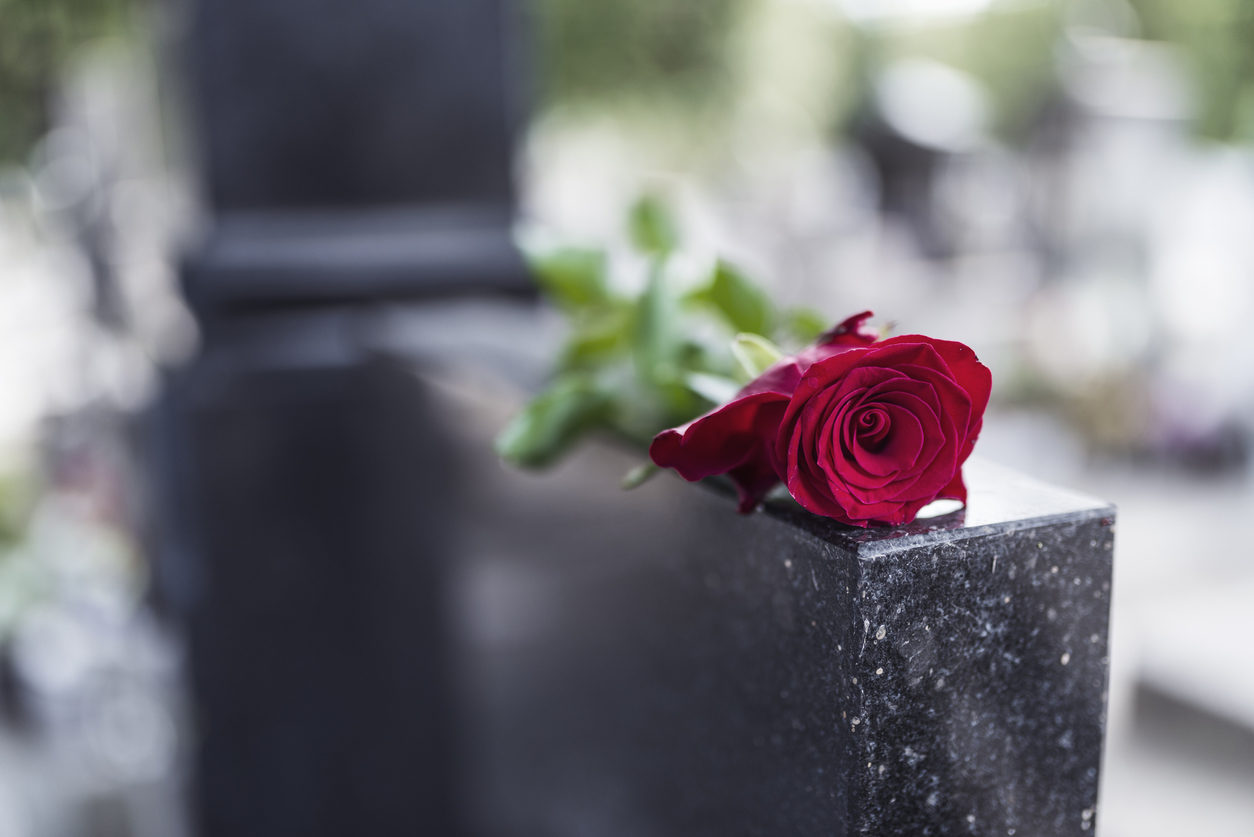 Une rose rouge est posée sur une tombe