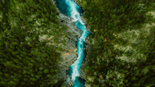 Photo vu d'en haut d'une rivière traversant une forêt.
