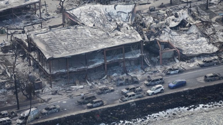 Vue aérienne des restes calcinés de plusieurs bâtiments