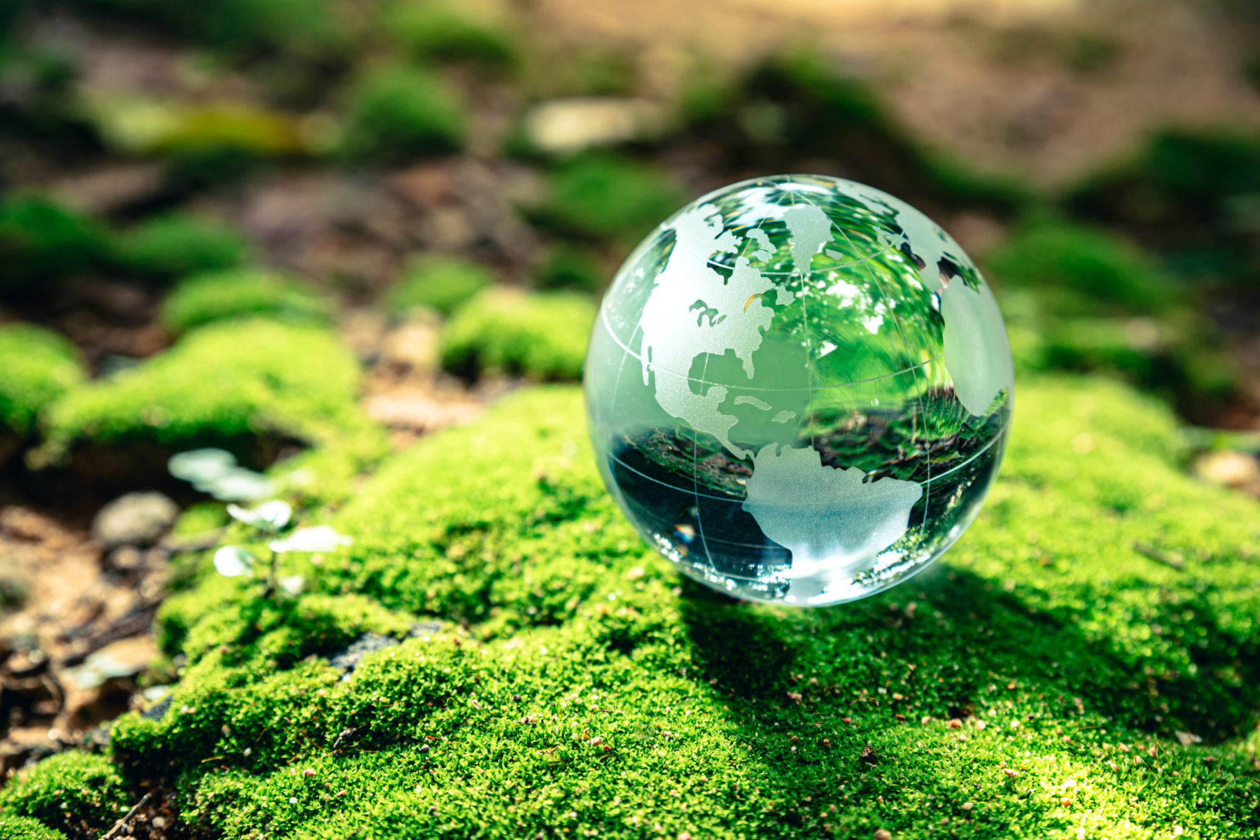 Un glob terrestre fait de cristal, posé sur un sol verdoyant.