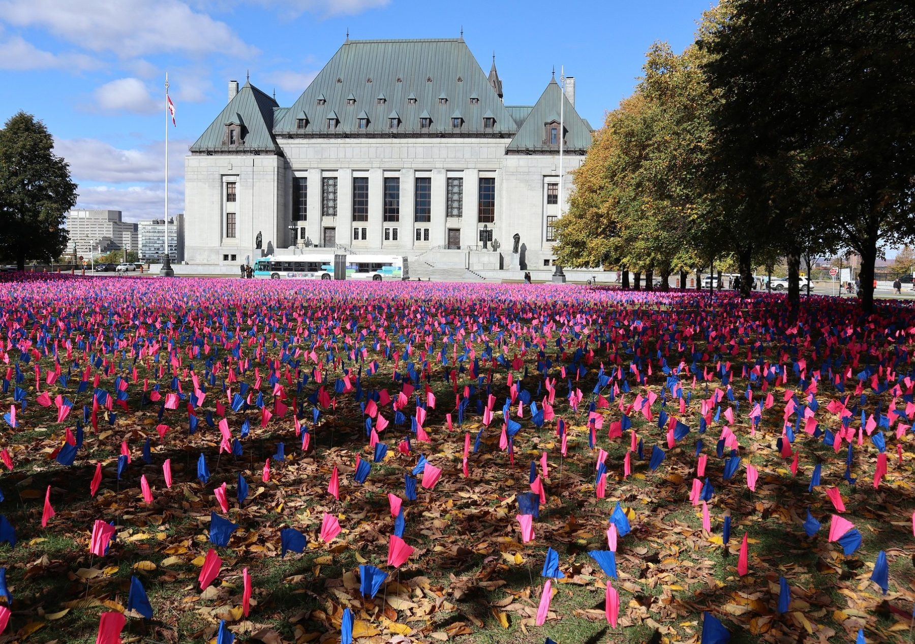 Des drapeaux pro-vie plantés sur un terrain à Ottawa