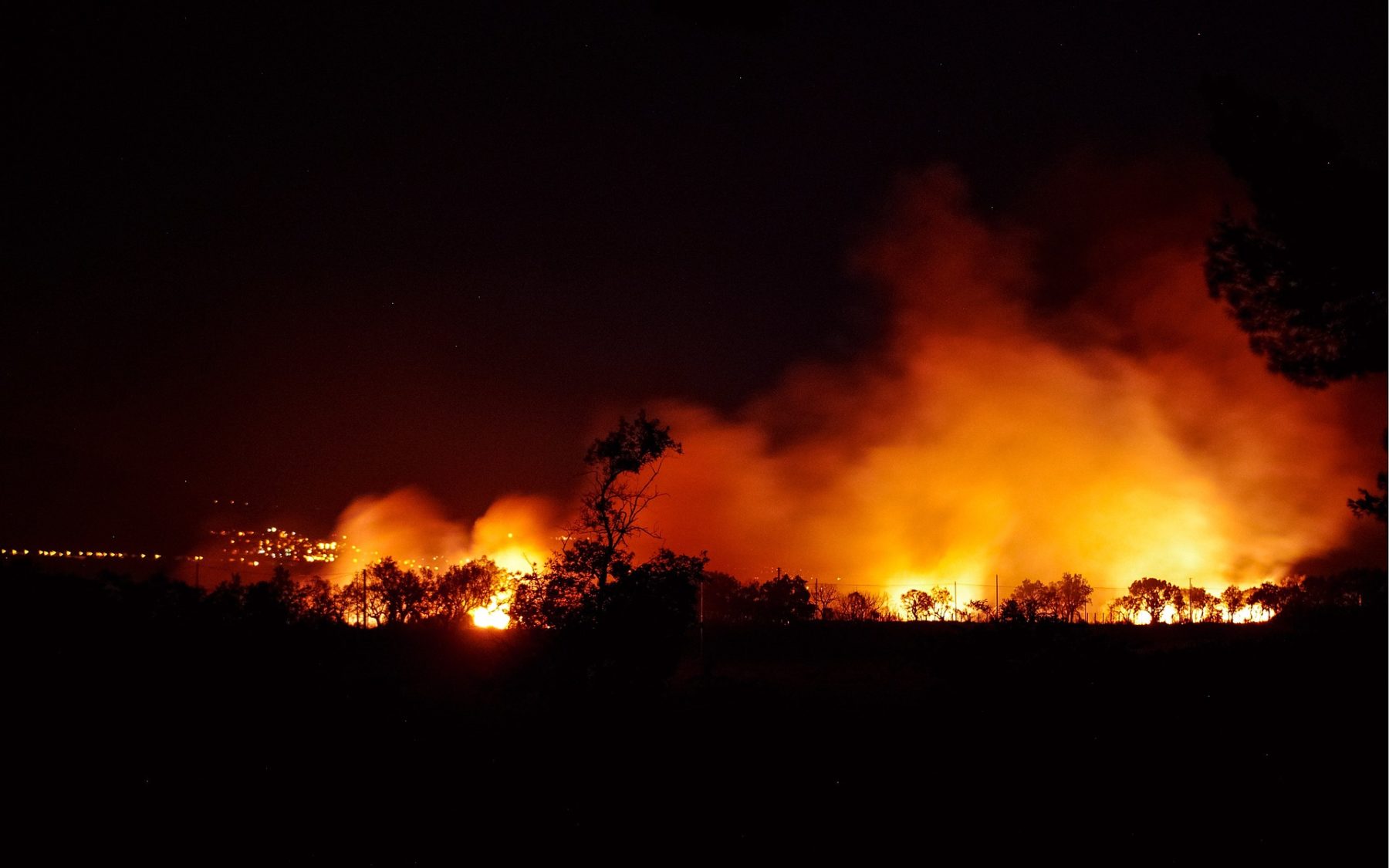 Des flammes ravagent une forêt dans la nuit