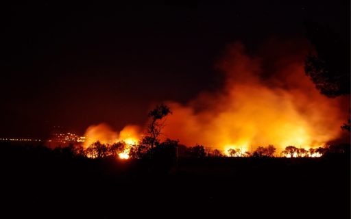 Des flammes ravagent une forêt dans la nuit